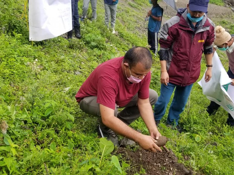 सांसद नेतृत्वमा वृक्षा रोपन दिवश
